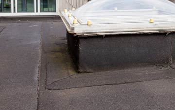 disadvantages of Newsham flat roofs