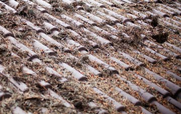 Newsham roof cleaning companies