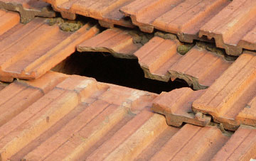 roof repair Newsham