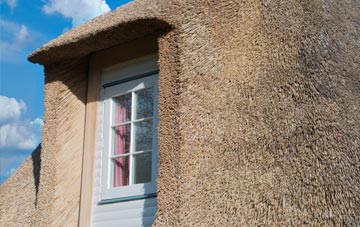 Newsham thatch roof disadvantages